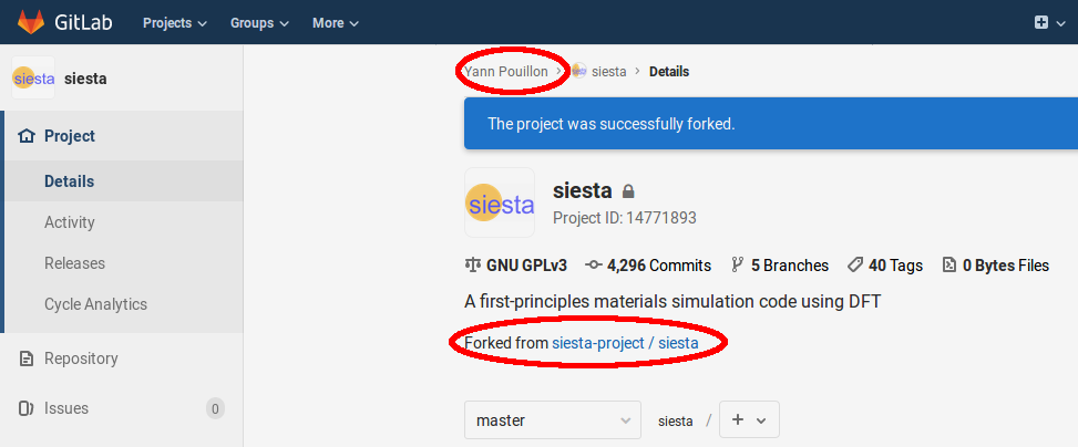 siesta-gitlab-fork-4