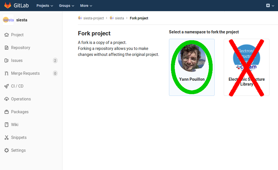 siesta-gitlab-fork-2